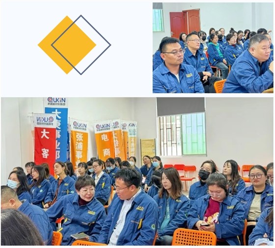 微信截图_20241213092510