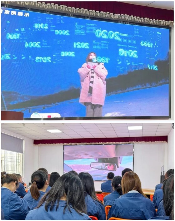 微信截图_20241213092526