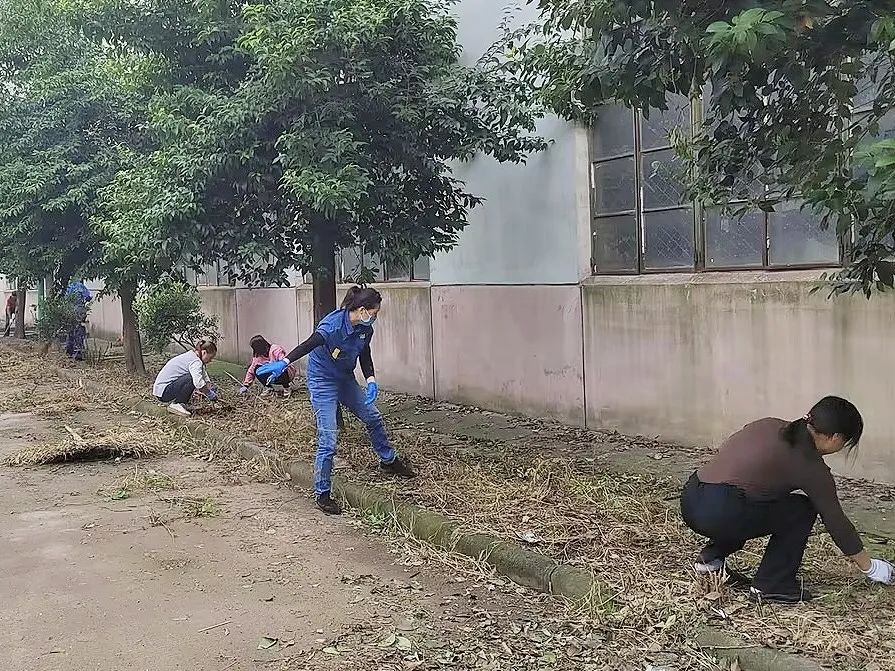 午休时间的别样风景:求精硕普的精益行动 午休时间的别样风景:求精硕普的精益行动